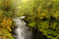 Nestucca River Fall Color