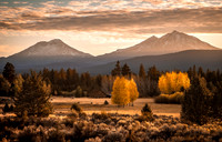 Autumn Dream