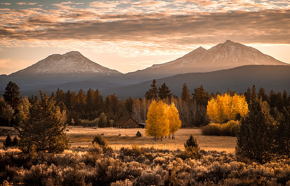 Autumn Dream