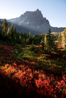 Autumn Sunrays