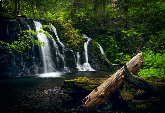 Pristine Dream