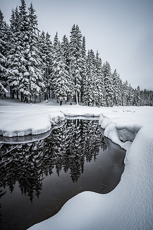 Winter Reflection
