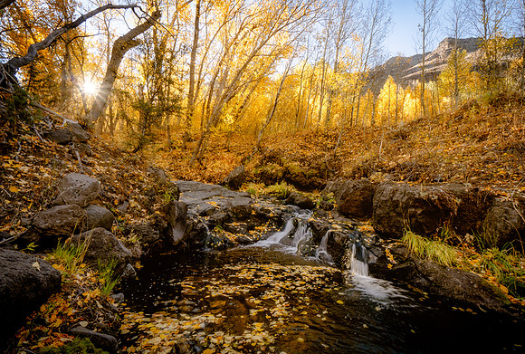 Little Blitzen Autumn Wonderland, Steens Mountain