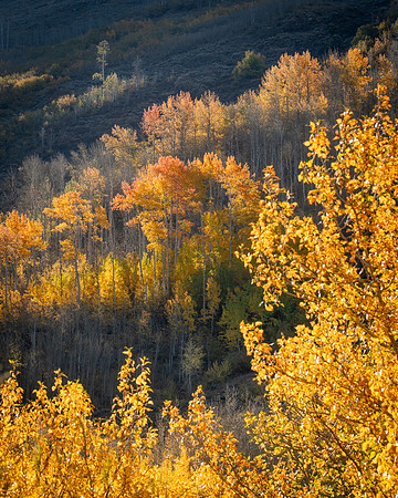 Autumn Layers Little Blitzen Gorge