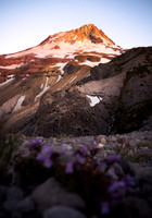 _DSC3633-Edit