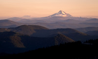 _DSC3614