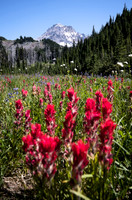 _DSC3672-Edit