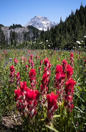 _DSC3672-Edit