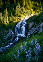 The Timberline Trail