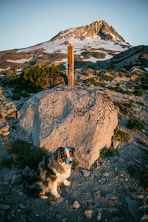 _DSC3640