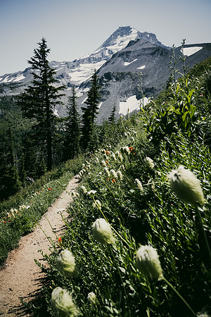 _DSC3662-Edit