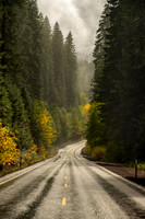Highway 126 Fall Color