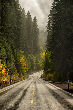 Highway 126 Fall Color