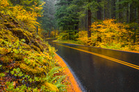Old McKenzie Pass Autumn Rain