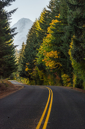 Mount Hood Autumn Road