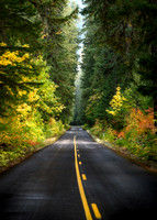 Roads and Trails