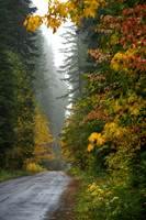 Fall Color Highway 19