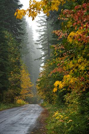 Fall Color Highway 19