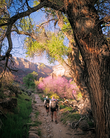 Cottonwood Tunnel