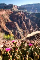 View from Clear Creek Trail, Grand Canyon