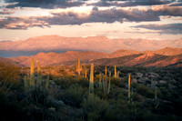The Arizona Trail