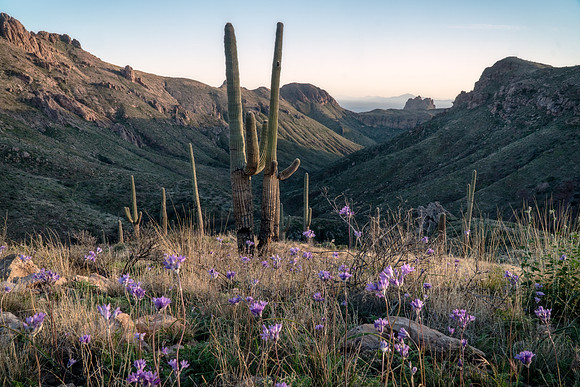 Superstition Wilderness