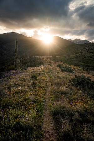 Lighting the way, Four Peaks Wilderness