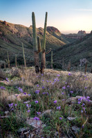 Superstition Wilderness Vertical