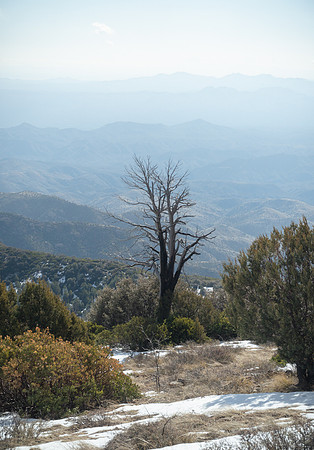 View from Mica Mountain, Saguaro National Park