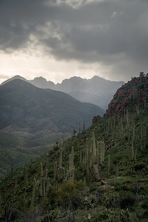 Four Peaks Storm, Four Peaks Wilderness