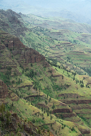 Hells Canyon Detail