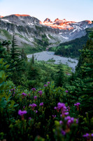 _DSC1825-Edit