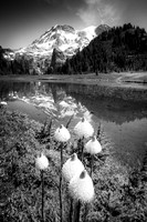 _DSC1771-Edit-Edit