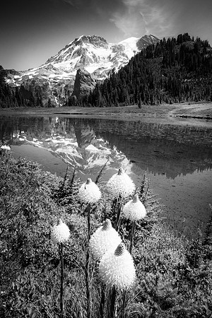 _DSC1771-Edit-Edit