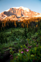 _DSC1597-Edit