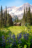 _DSC1777-Edit-2