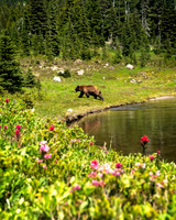 _DSC1721-Edit