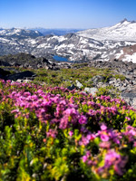 Alpine Desolation