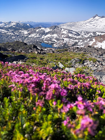 Alpine Desolation