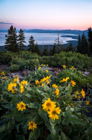 A Cheerful Sunset