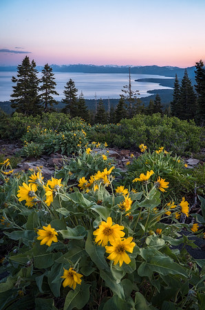 A Cheerful Sunset