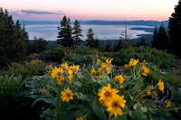 Tahoe Blue