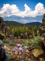 Tahoe Rim Trail