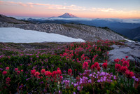 Mount Adams Paintbrush, WA. A grand prize award winner in the 2023 PCTA photo contest