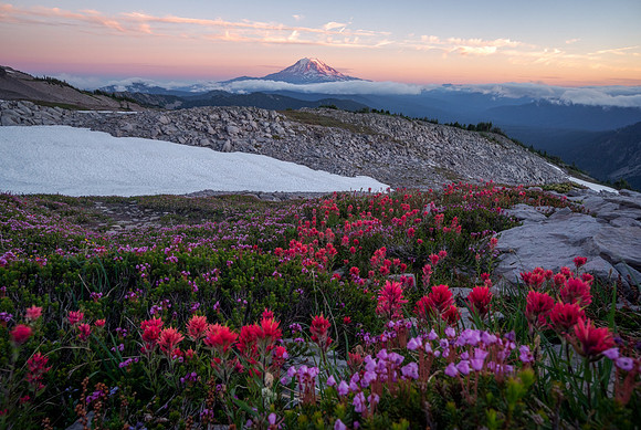 Mount Adams Paintbrush, WA. A grand prize award winner in the 2023 PCTA photo contest