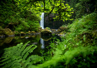 Abiqua Falls Reflection