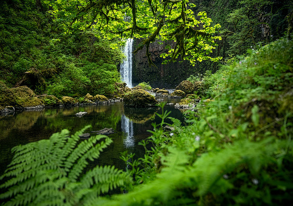 Abiqua Falls Reflection