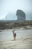 Doe Rock