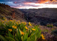 Middle Deschutes Dreamin'