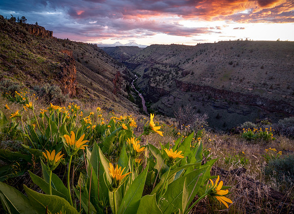 Middle Deschutes Dreamin'